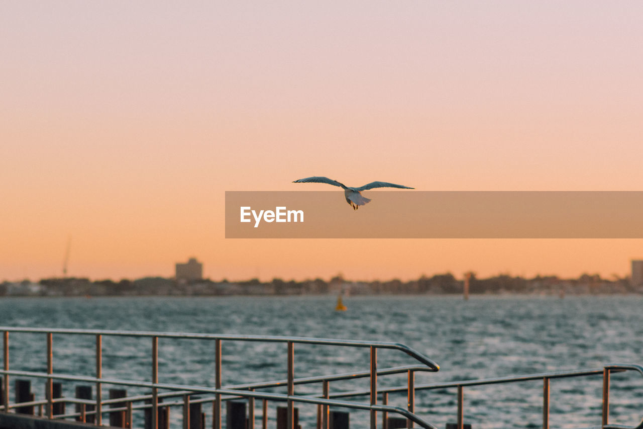 BIRD FLYING OVER SEA AGAINST CLEAR SKY AT SUNSET
