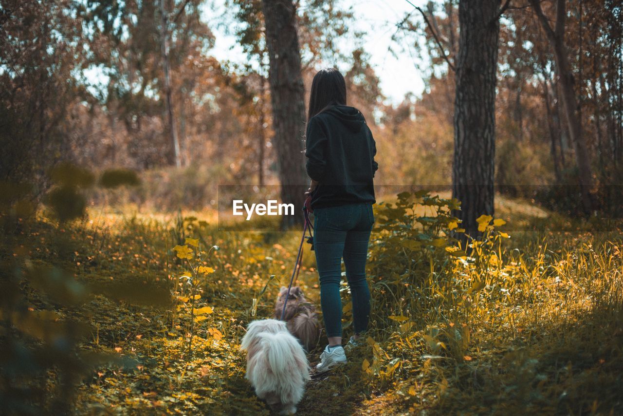 REAR VIEW OF WOMAN WITH DOG IN FOREST