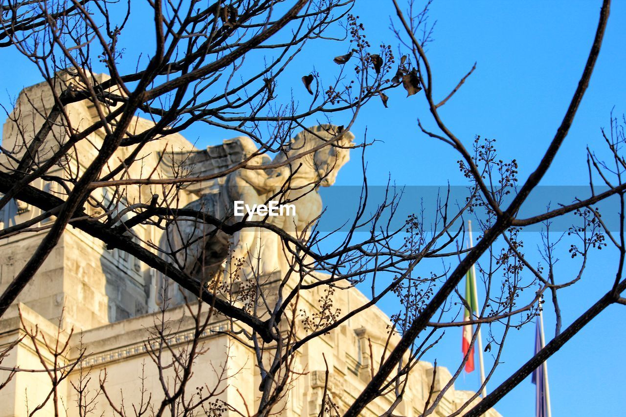 LOW ANGLE VIEW OF BARE TREE AGAINST SKY