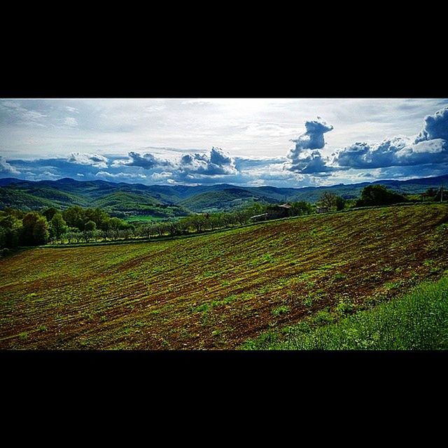 SCENIC VIEW OF RURAL LANDSCAPE