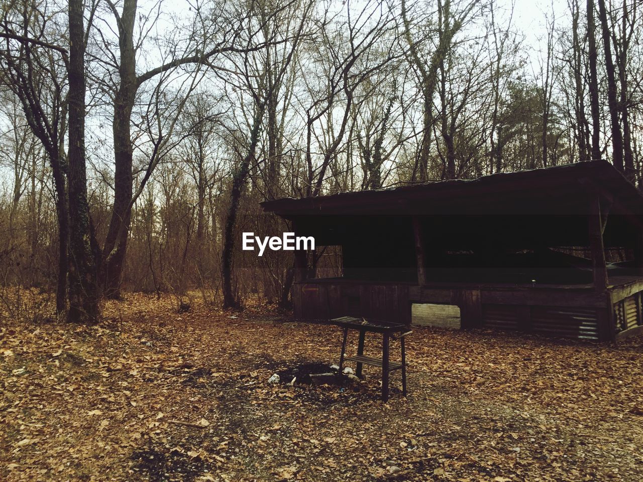 VIEW OF CHAIRS ON LANDSCAPE