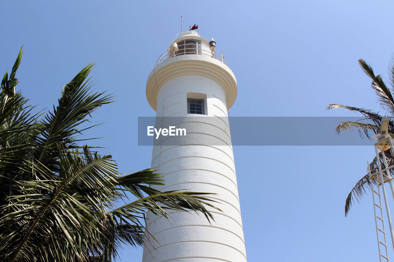 LOW ANGLE VIEW OF COCONUT PALM TREE AGAINST SKY