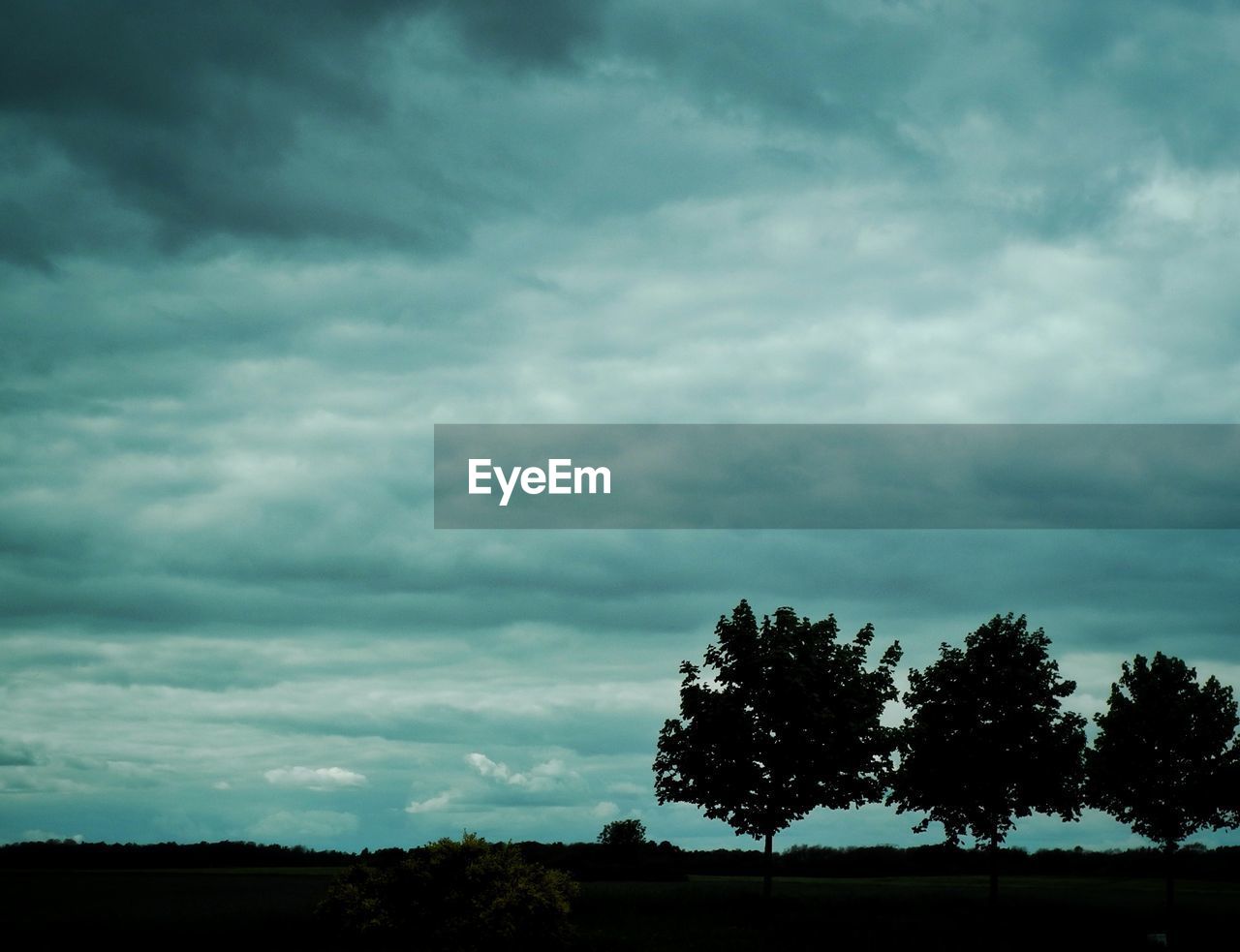 Silhouette of trees on grassy landscape against cloudy sky