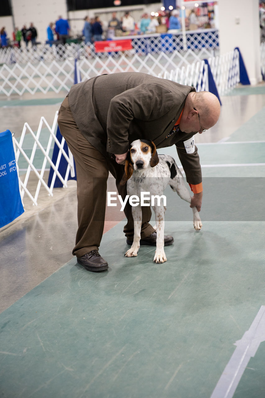 FULL LENGTH PORTRAIT OF DOG STANDING ON MAN WITH DOGS IN BACKGROUND