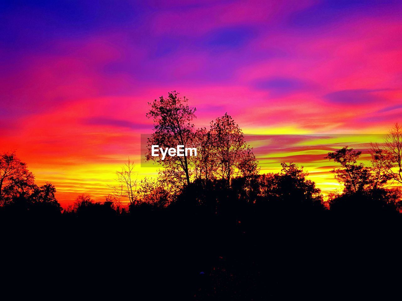 SILHOUETTE TREES ON LANDSCAPE AGAINST SKY DURING SUNSET