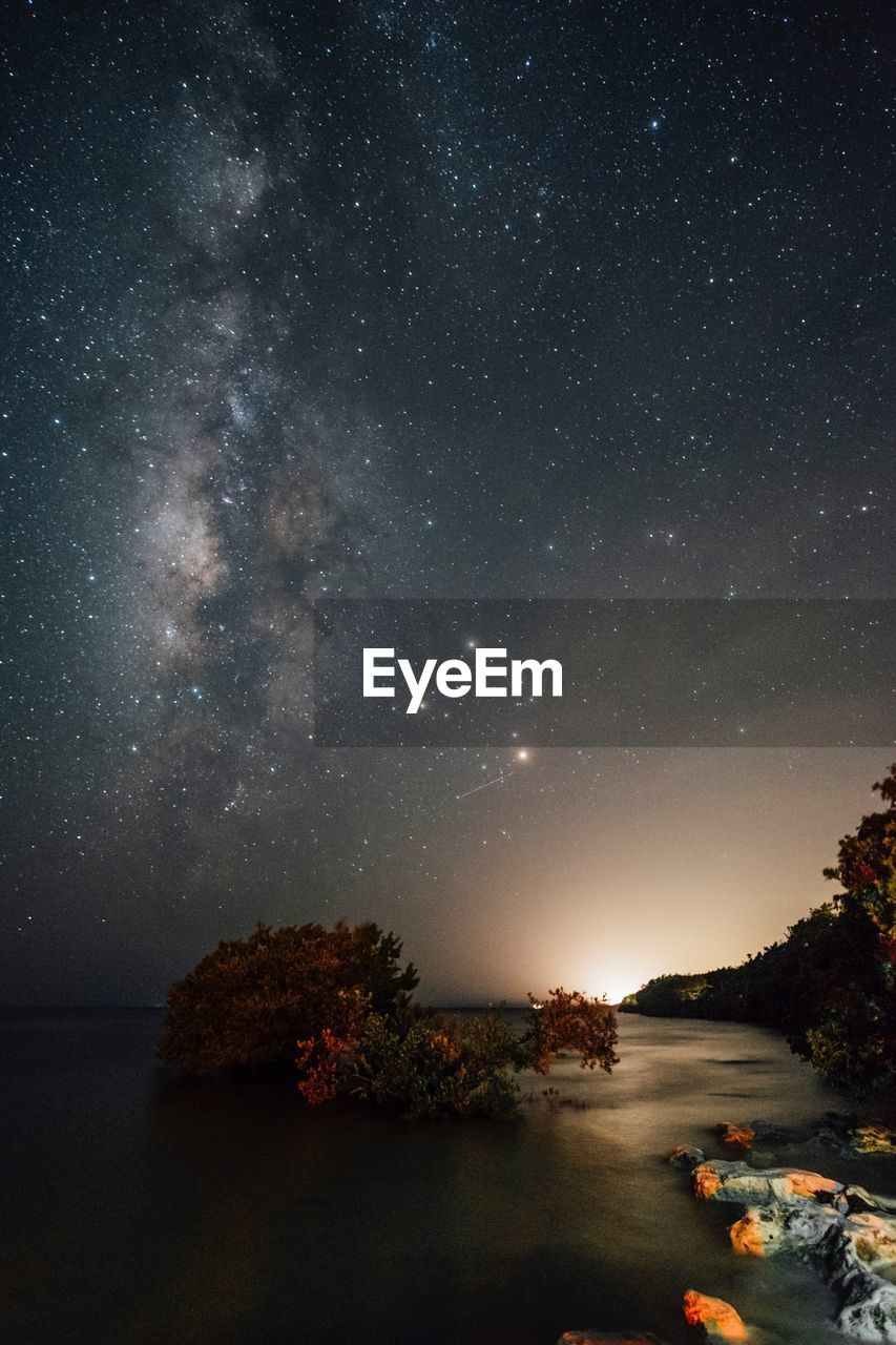 STAR FIELD AT NIGHT
