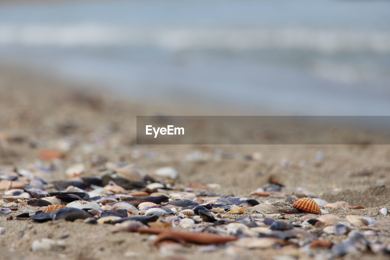 Close-up of stones on beach