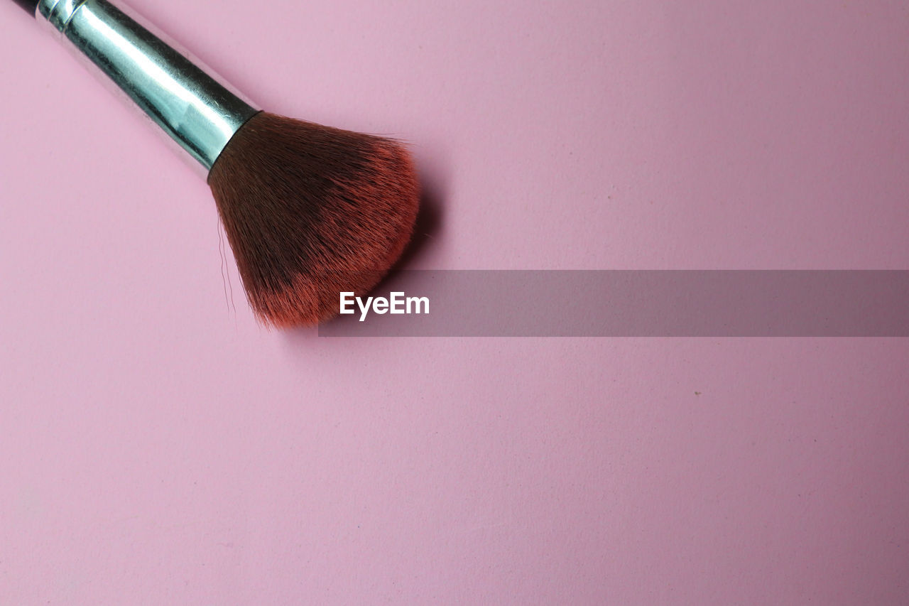 HIGH ANGLE VIEW OF PAINTBRUSHES ON PINK PETALS