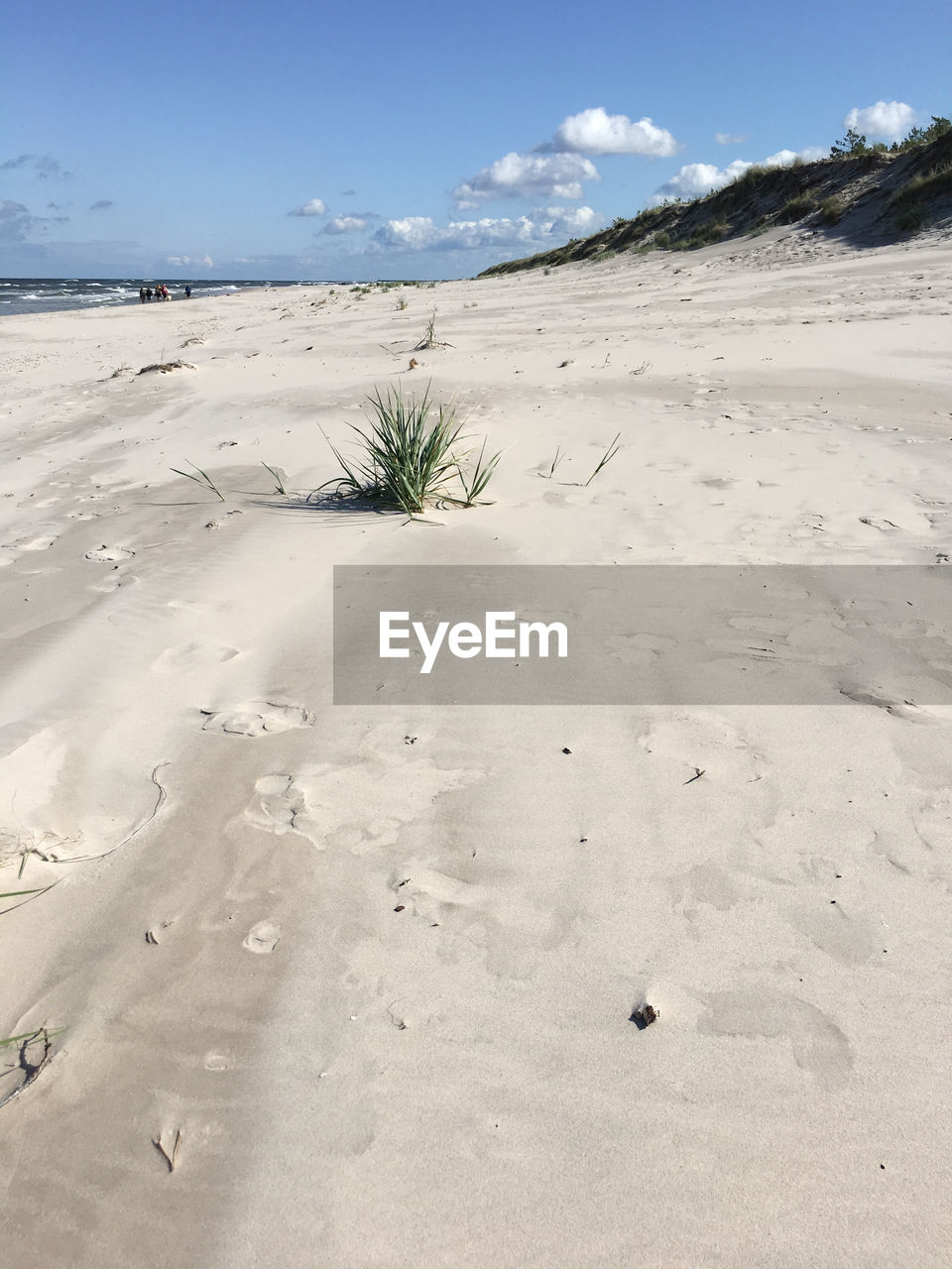 SCENIC VIEW OF SAND DUNES ON BEACH AGAINST SKY