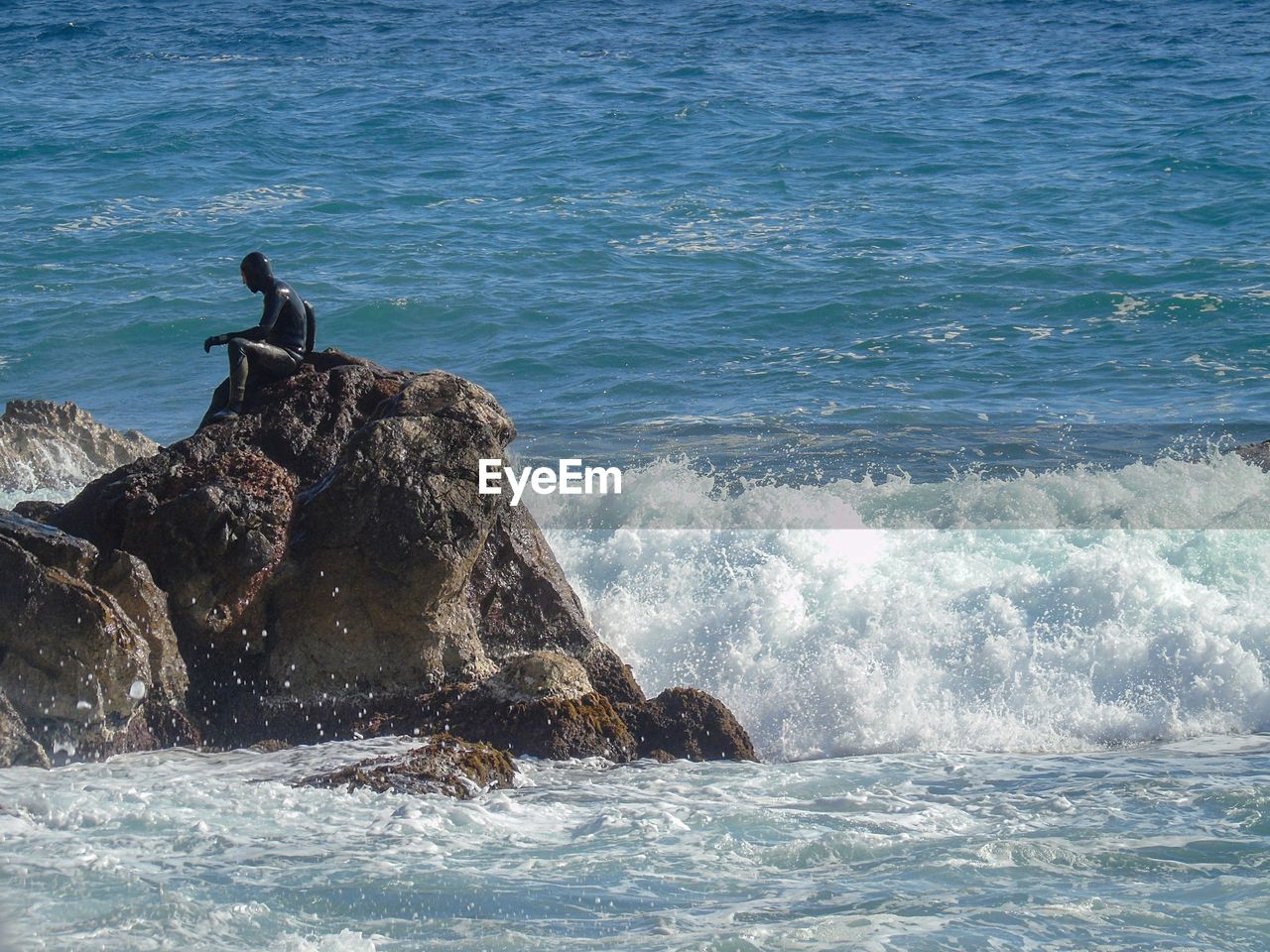 VIEW OF SEAGULL ON ROCK