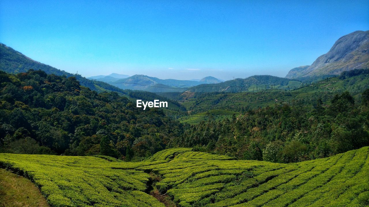 Scenic view of mountains against clear blue sky