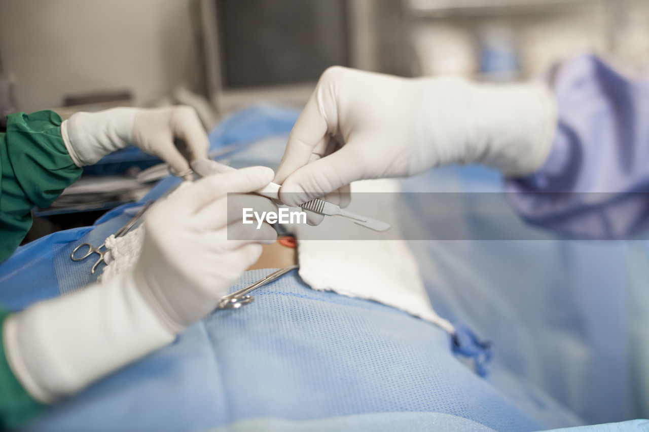 Nurse giving dental equipment to dentist during surgery in operating room