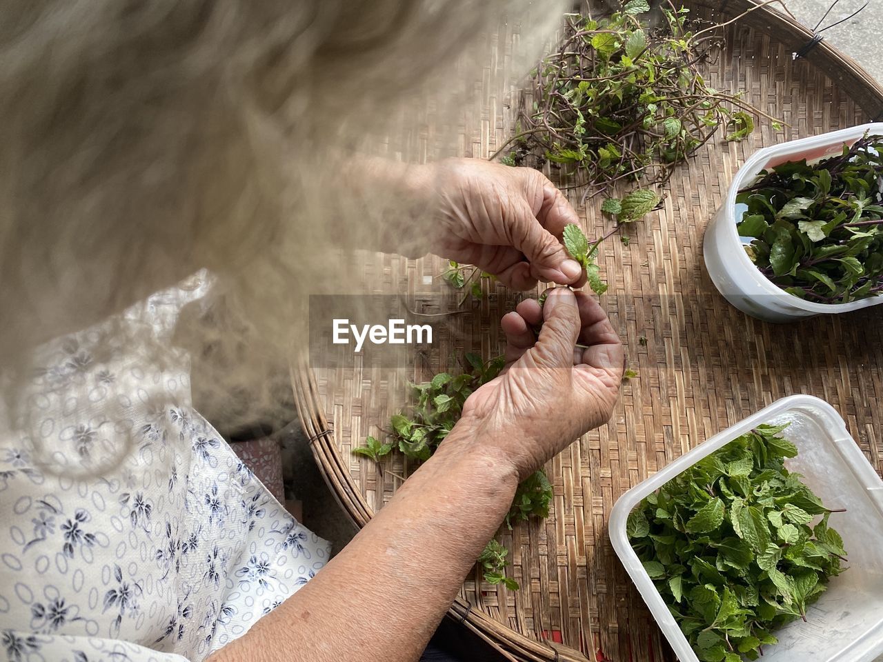 High angle view of woman preparing food