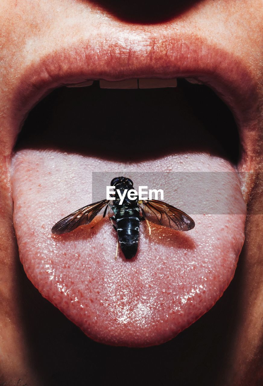 Cropped image of person with dead insect on tongue