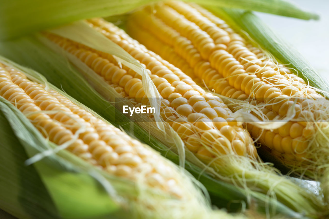 Three ears of corn