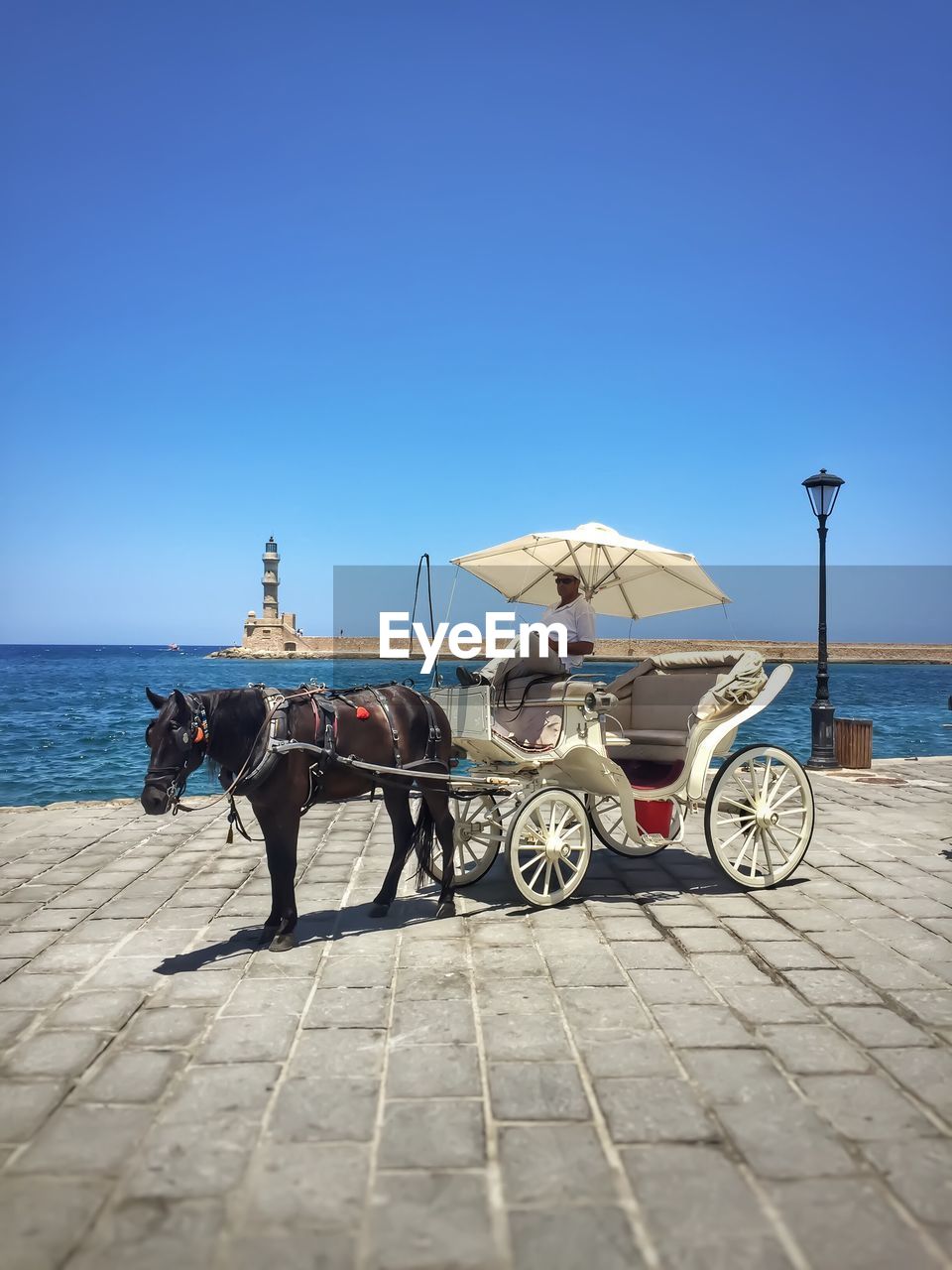 Man sitting on horse cart on footpath by sea against clear blue sky