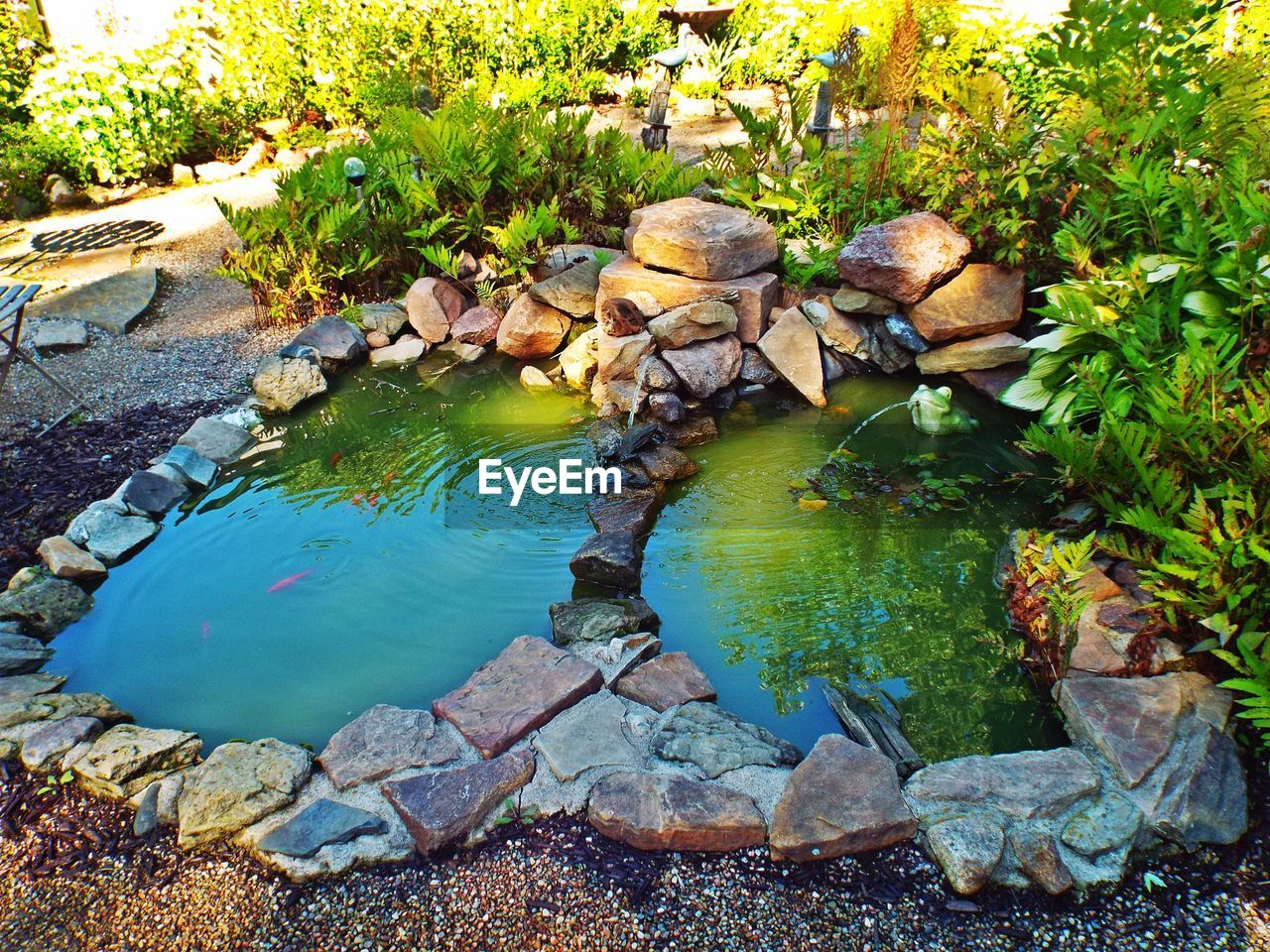 Stream flowing through rocks