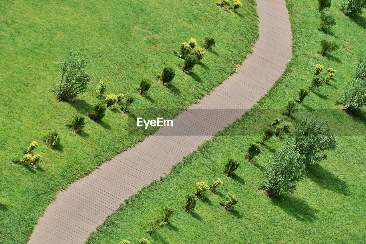 High angle view of footpath amidst grassy field