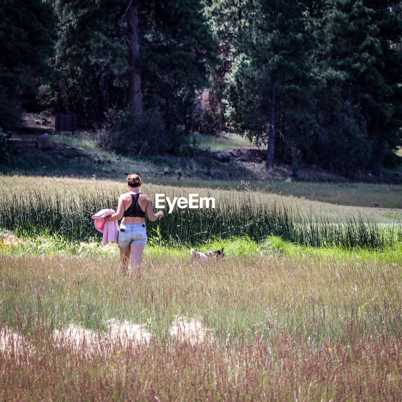 Rear view of woman walking on grassy land