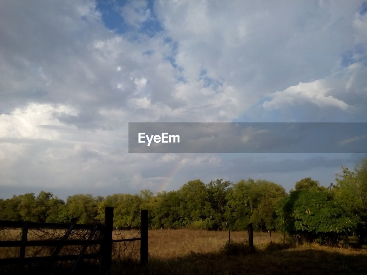 TREES ON FIELD AGAINST CLOUDY SKY