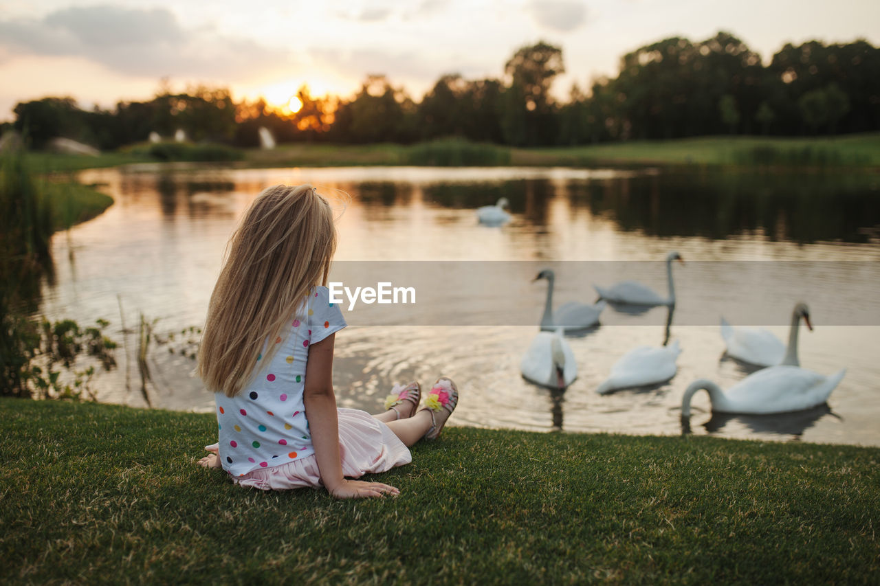 View of birds in lake