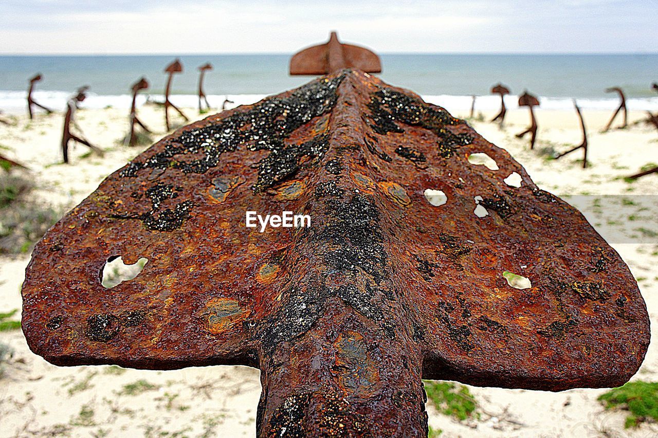 CLOSE-UP OF BUTTERFLY PERCHING ON SAND AT BEACH