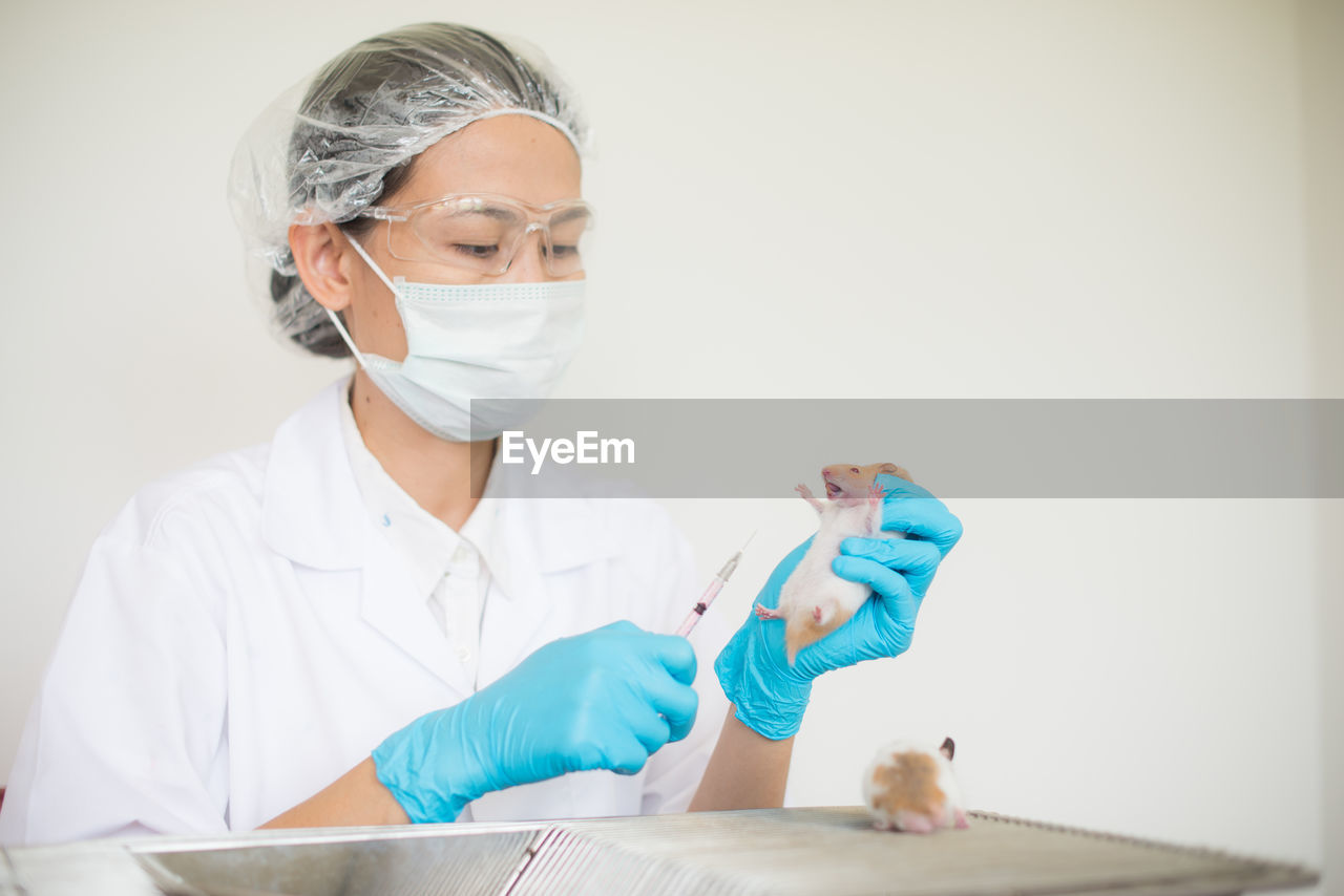Doctor giving injection to rat against white background