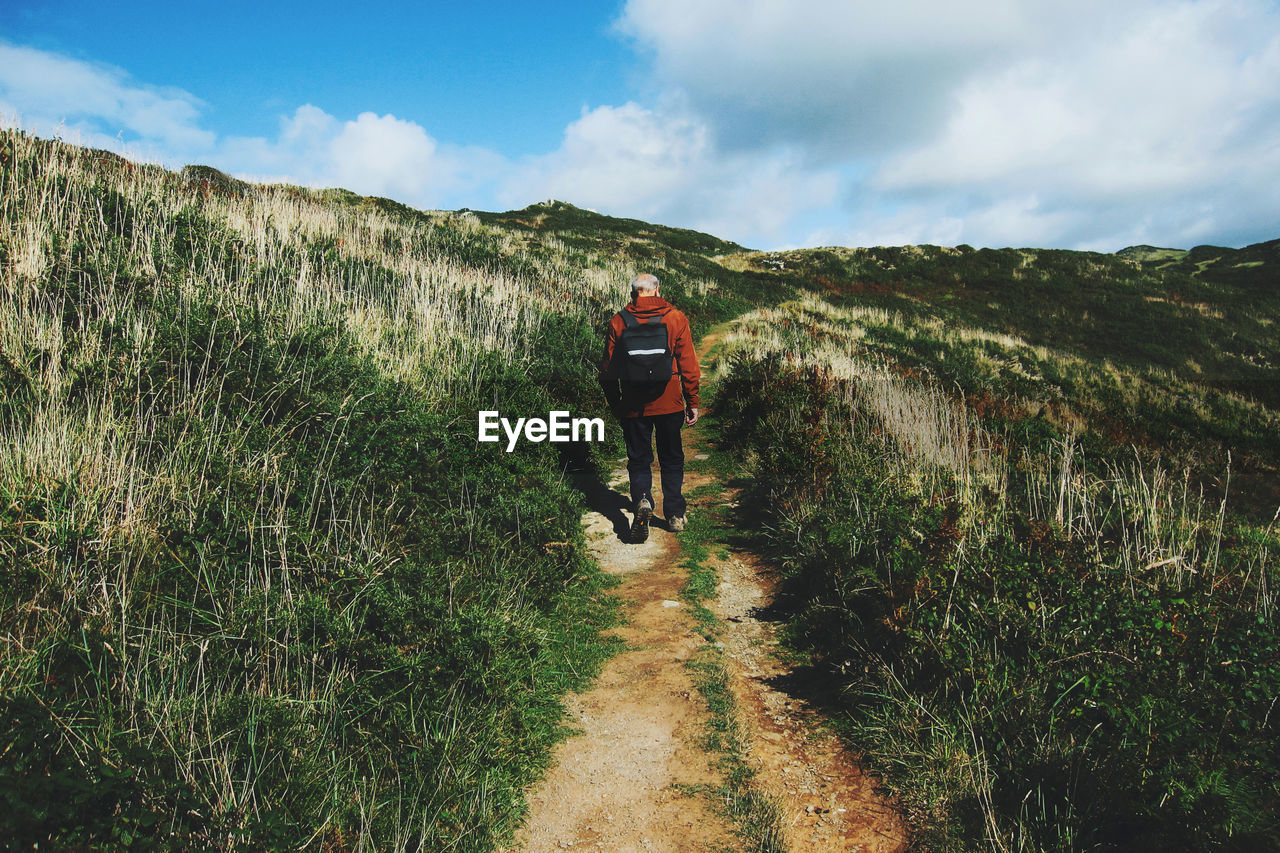 Rear view of senior man walking on footpath