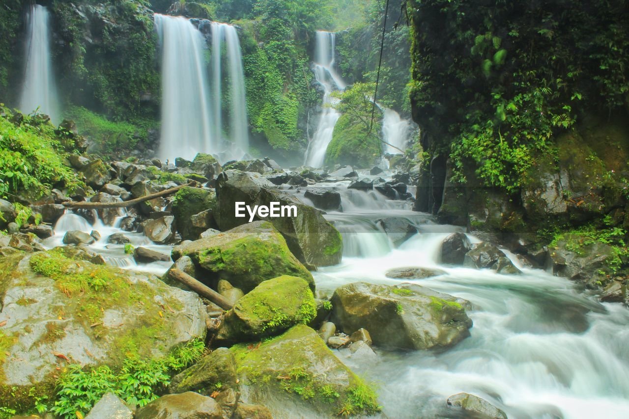 WATERFALL IN FOREST