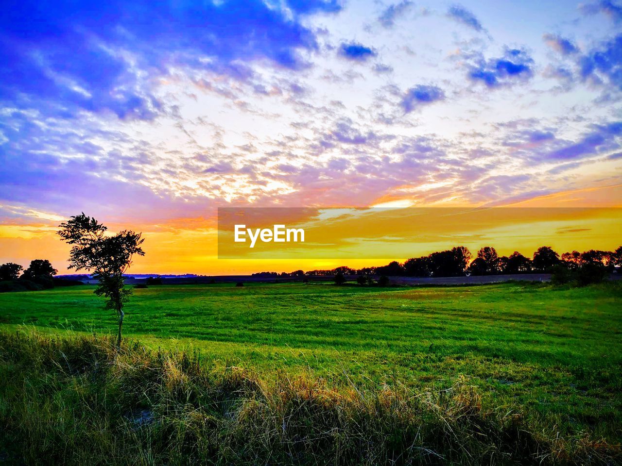 SCENIC VIEW OF FIELD DURING SUNSET