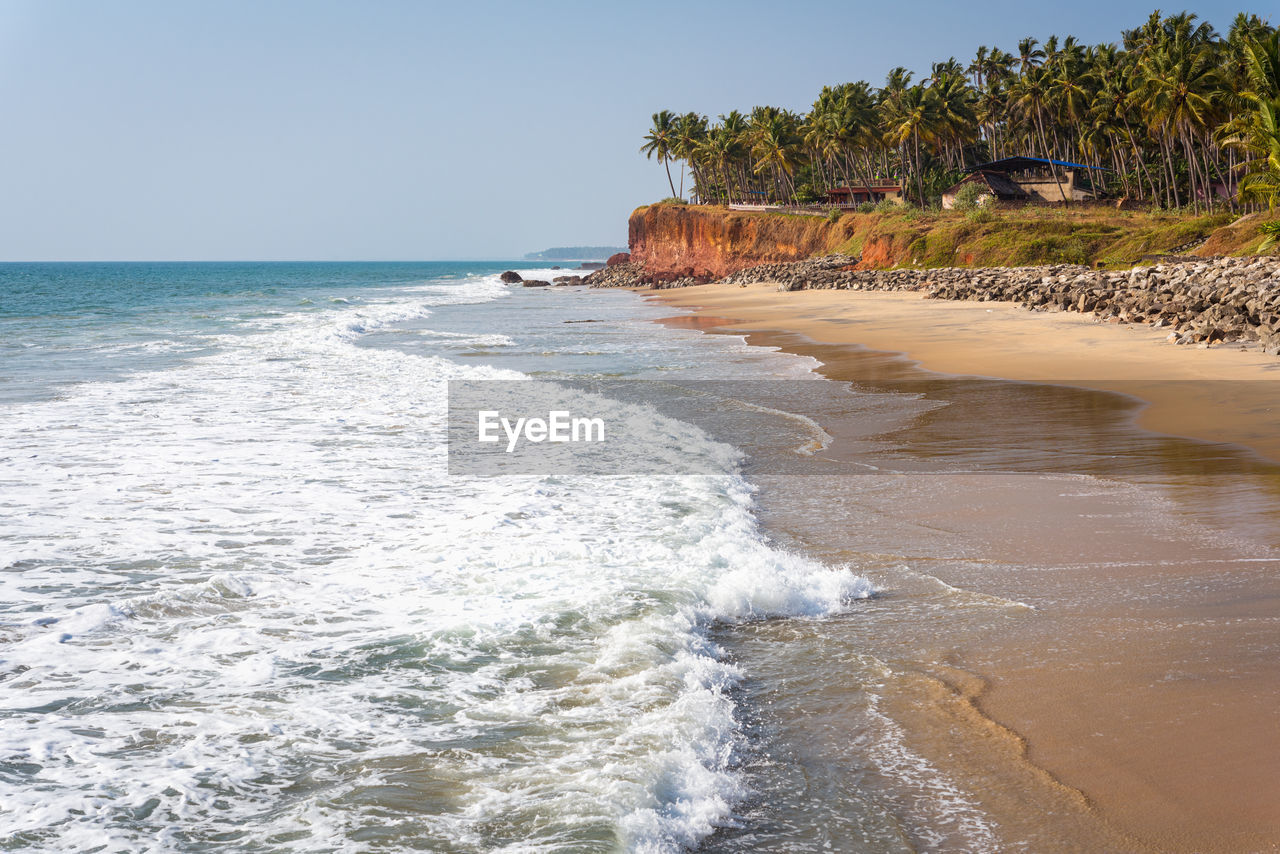 Beautiful beach in varkala, india, foamy sea waves, sand, palm trees. edava village, kerala, india.