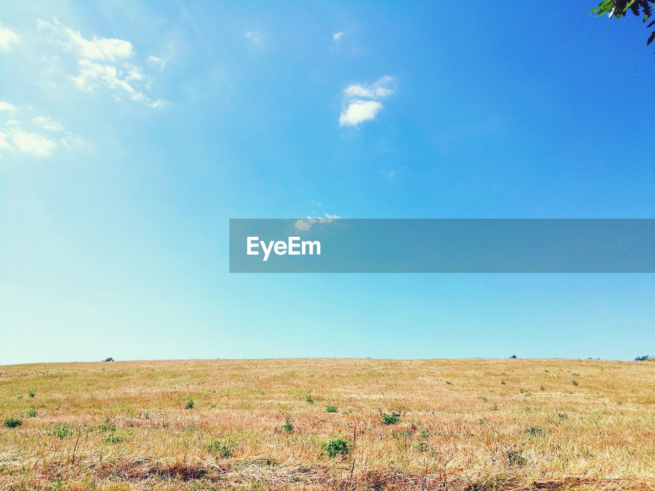 Scenic view of field against blue sky