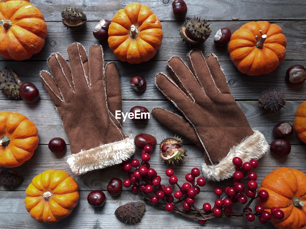 Directly above shot of gloves with pumpkins