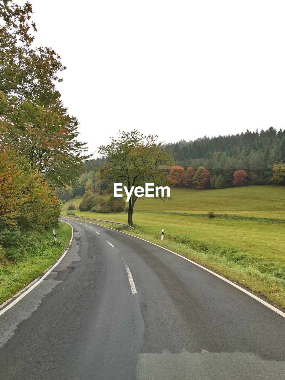 EMPTY ROAD WITH TREES IN BACKGROUND