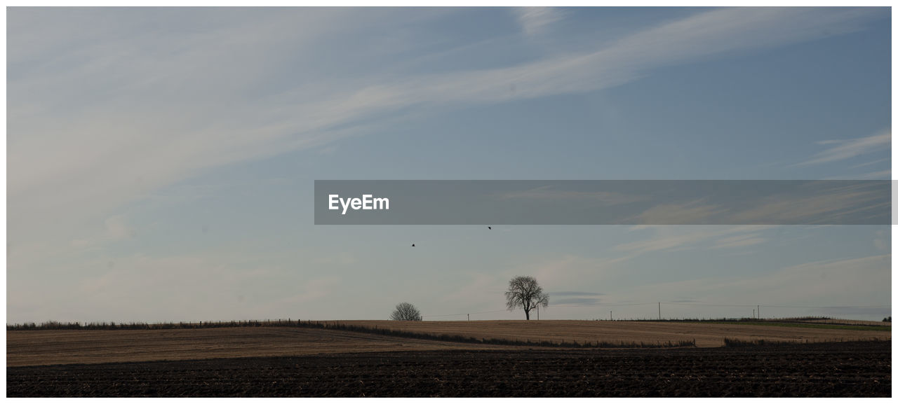 FIELD AGAINST SKY