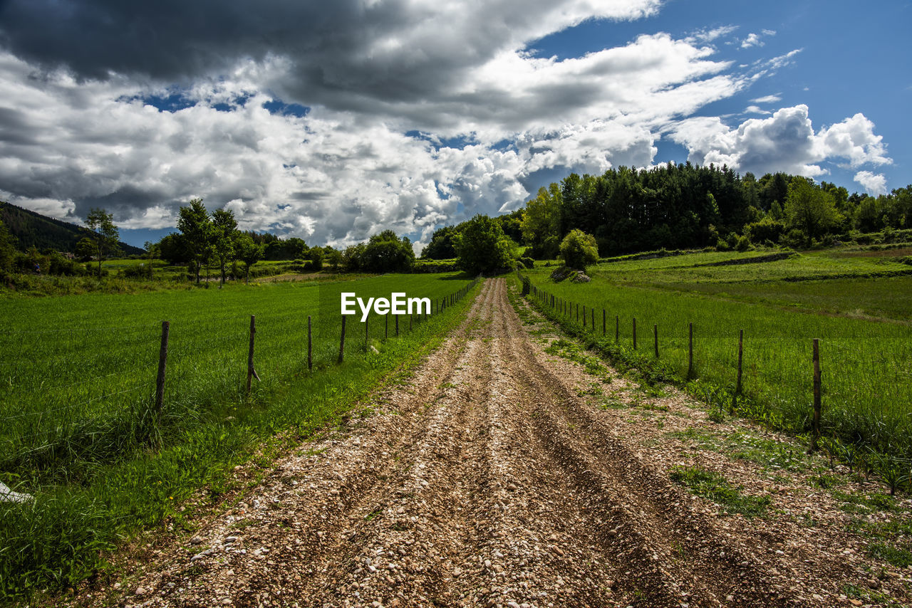 landscape, environment, cloud, sky, field, agriculture, land, plant, rural scene, scenics - nature, nature, rural area, beauty in nature, farm, grass, crop, hill, tree, no people, green, meadow, grassland, road, dirt, food and drink, travel, tranquility, plantation, social issues, soil, growth, outdoors, food, valley, the way forward, pasture, tranquil scene, dirt road, environmental conservation, travel destinations, footpath, non-urban scene, diminishing perspective, dramatic sky, cloudscape, mountain range