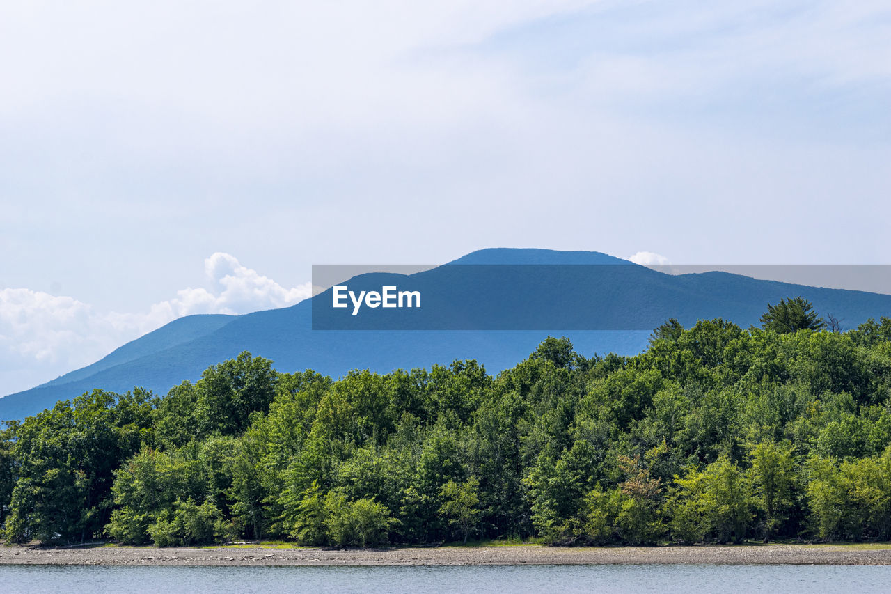 TREES BY LAKE AGAINST SKY