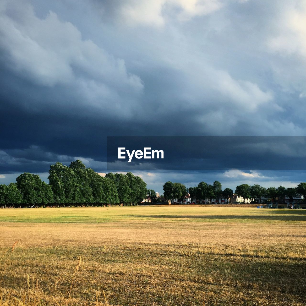 TREES ON FIELD AGAINST CLOUDY SKY