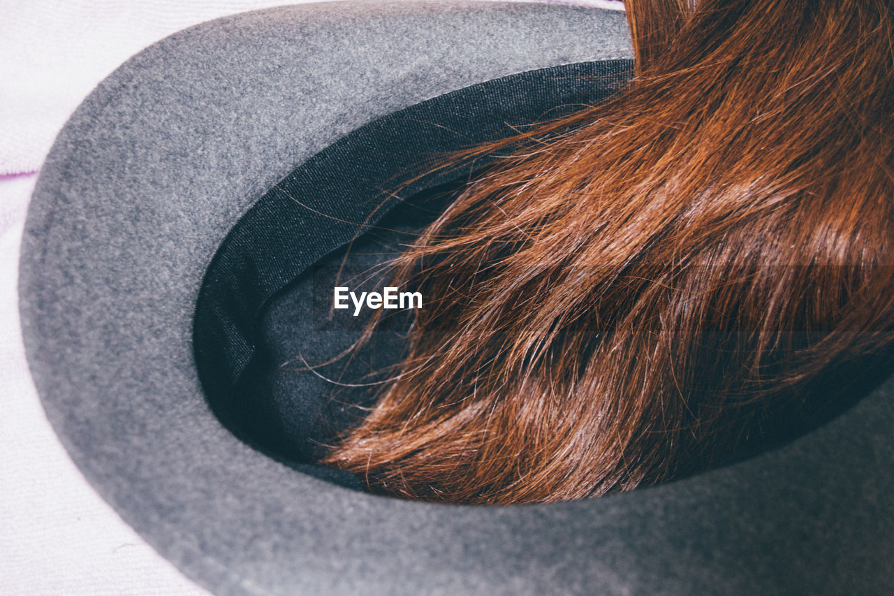 Close-up of brown hair on hat