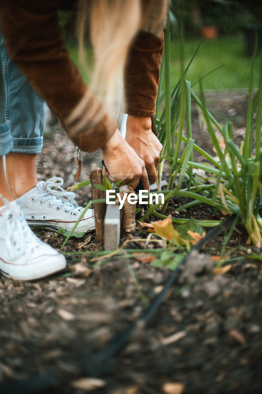 LOW SECTION OF MAN STANDING ON FIELD BY PLANTS