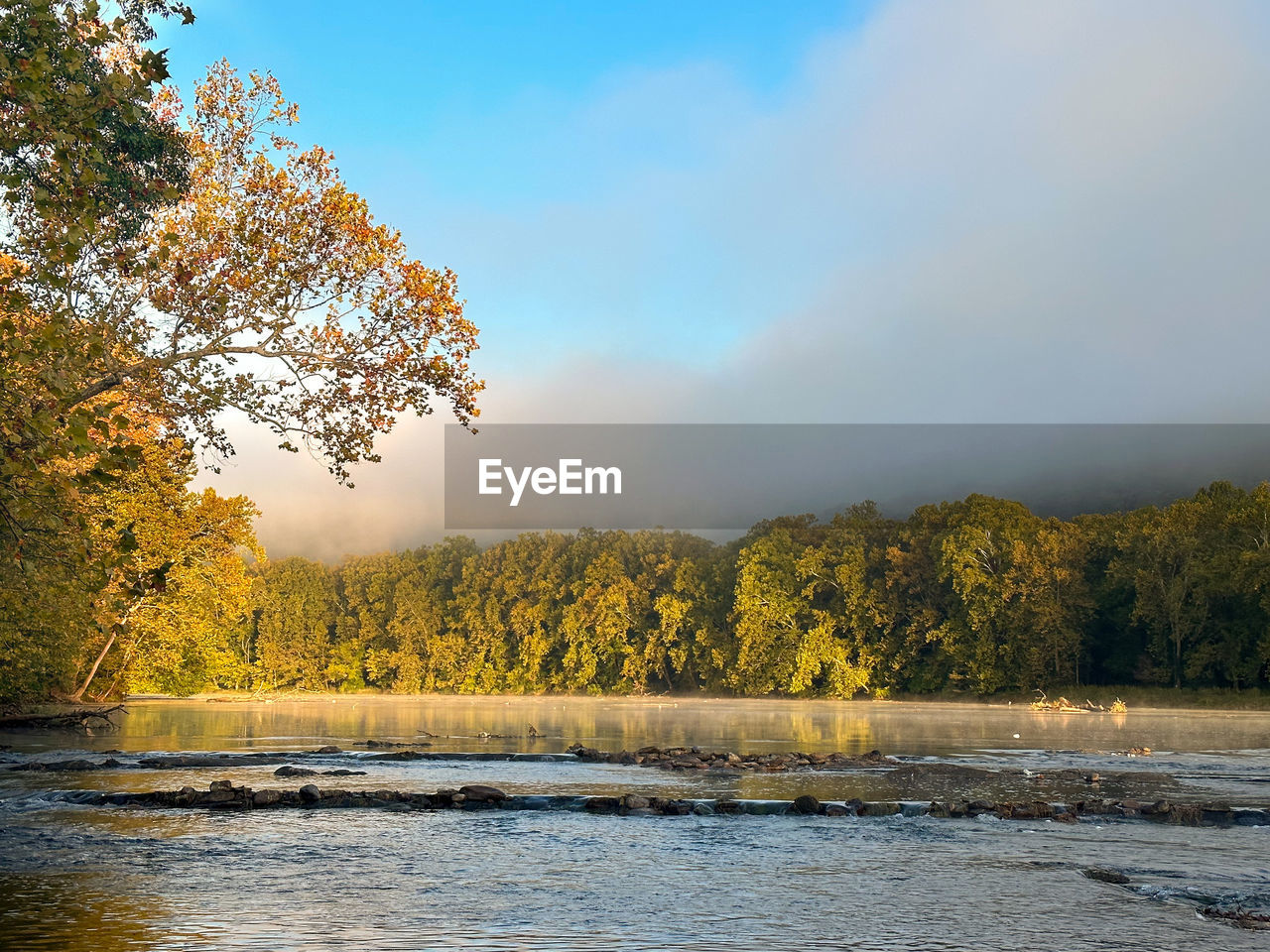nature, tree, morning, reflection, water, river, plant, sky, beauty in nature, autumn, environment, scenics - nature, landscape, tranquility, leaf, forest, land, tranquil scene, cloud, no people, wilderness, outdoors, body of water, pinaceae, travel, sunlight, non-urban scene, travel destinations, mountain, dawn, coniferous tree, day, pine woodland, idyllic, pine tree, fog, yellow, tourism, shore, woodland, plant part, blue