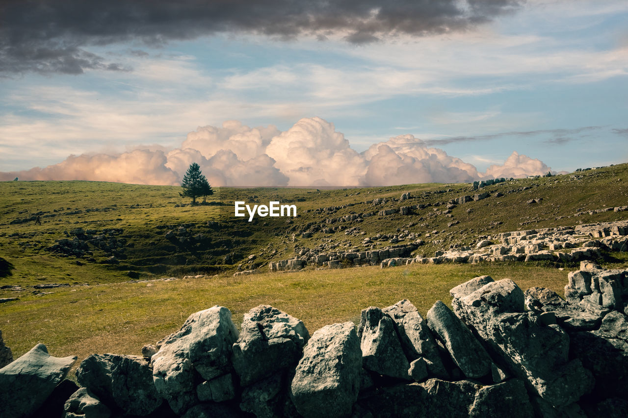 Scenic view of field against sky