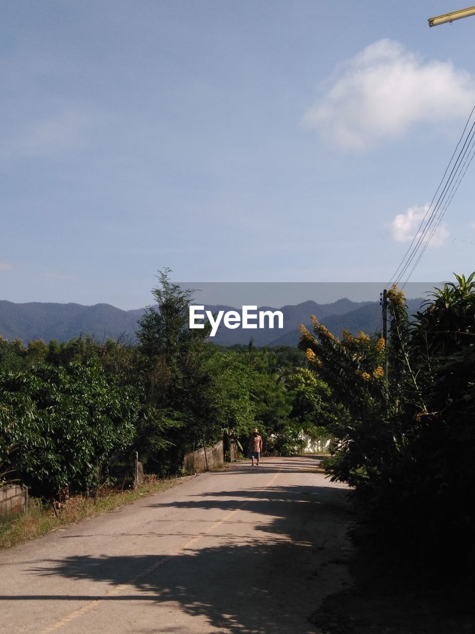 VIEW OF TREES ON MOUNTAIN AGAINST SKY