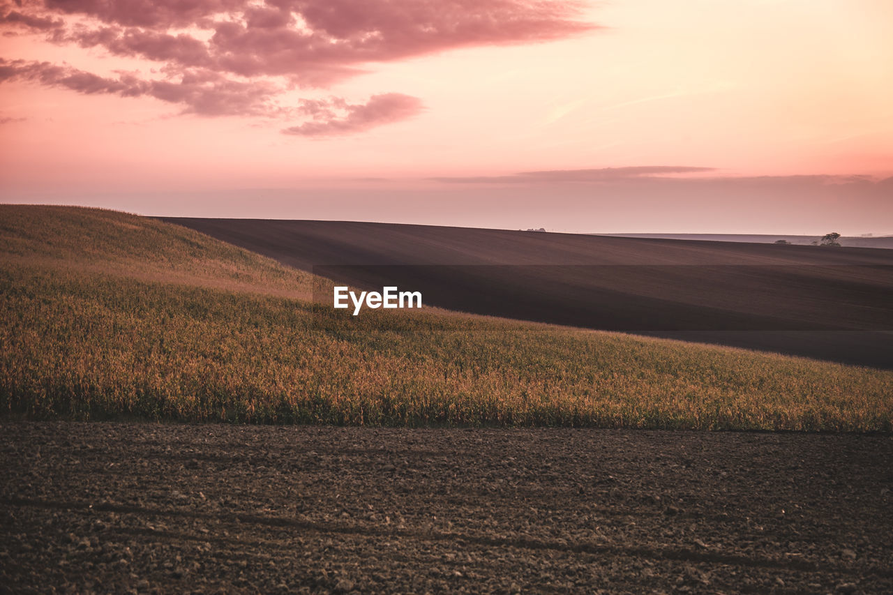 SCENIC VIEW OF AGRICULTURAL FIELD AGAINST SKY DURING SUNSET