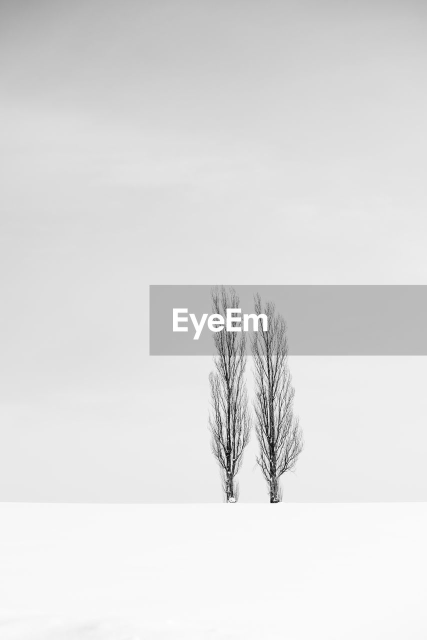 Bare tree on snow covered field against sky