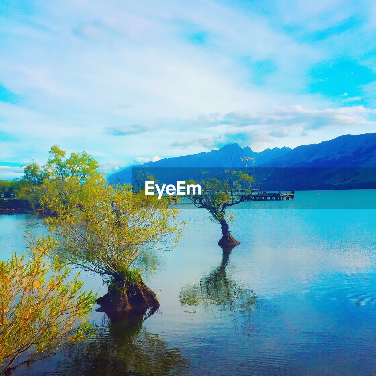 Trees in lake by mountains against sky