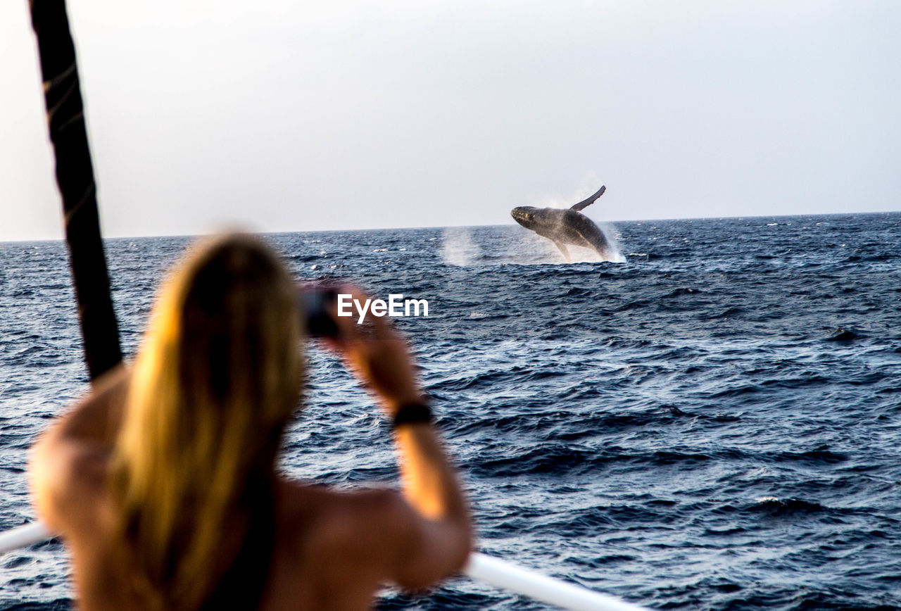 Rear view of woman photographing whale in sea through mobile phone
