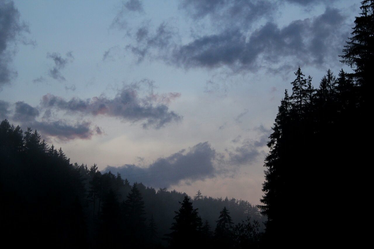 Silhouette of trees against cloudy sky