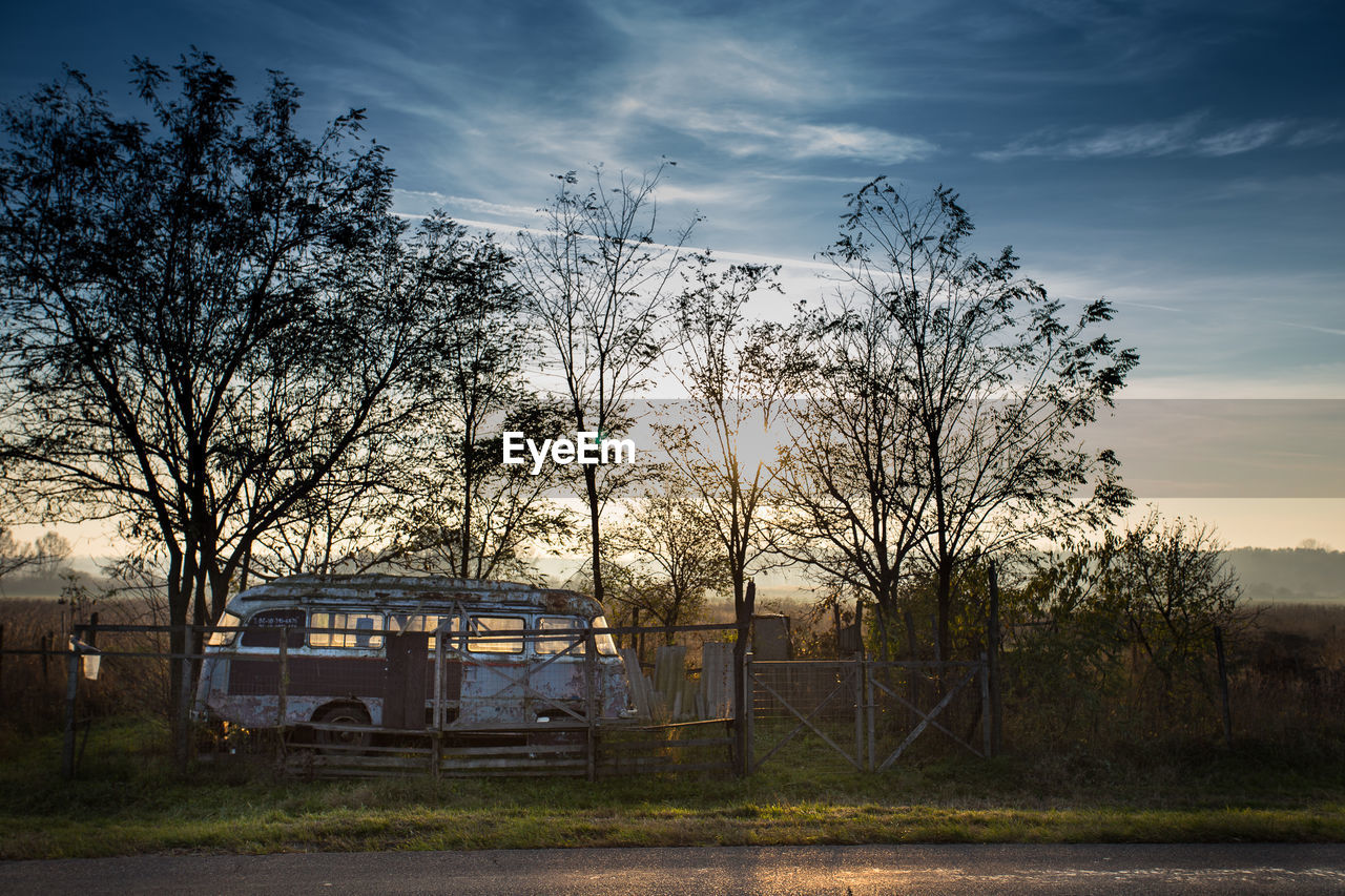 BARE TREES ON LANDSCAPE AT SUNSET