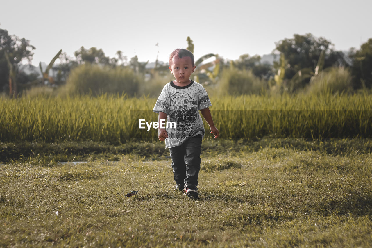 Toddler boy standing on field